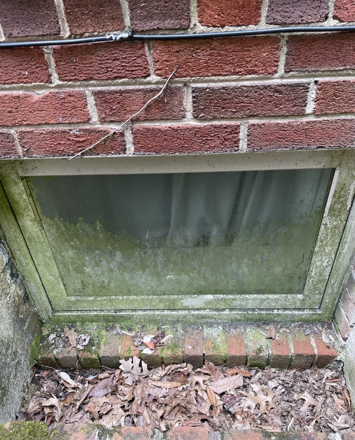 Basement window covered in green algae and grime before cleaning
